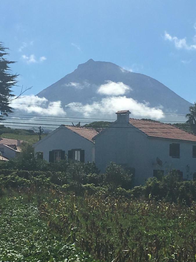 Home Pico - Casa Dos Cedros Criacao Velha Luaran gambar